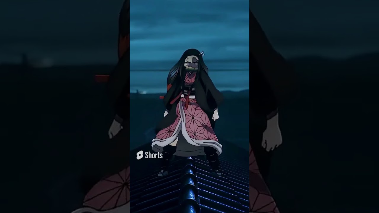 NEZUKO n'est PAS un DEMON ORDINAIRE