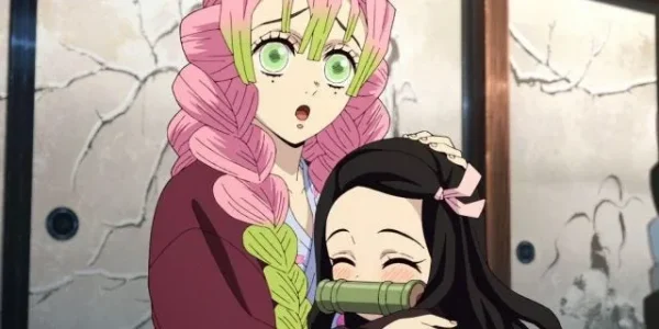 nezuko et mitsuri ensemble