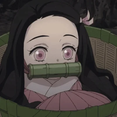 nezuko kamado petite dans son panier