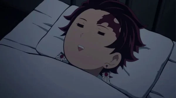 Tanjiro Kamado En Train De Dormir